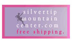 Silver Mountain Center link